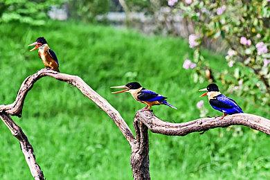 解开亚特兰蒂斯的秘密，《凡尔纳：幻想之形》现已登陆Switch香港区！